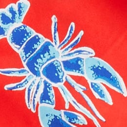 Printed scarf BRIGHT CERISE BLUE