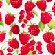 Ronnie bikini bottom in raspberry print IVORY MULTI